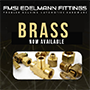 Brass_now available.png